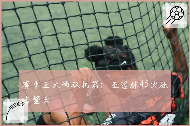 赛季五大两双机器:王哲林45次独占鳌头